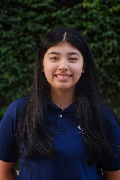 Sarah Ho profile image